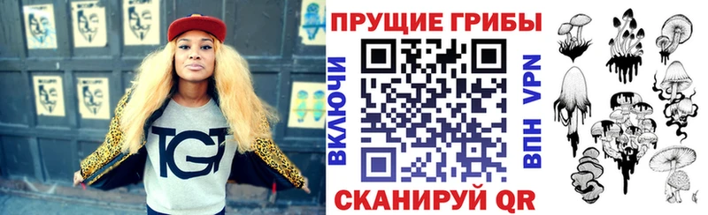Галлюциногенные грибы Psilocybe  Дмитров 
